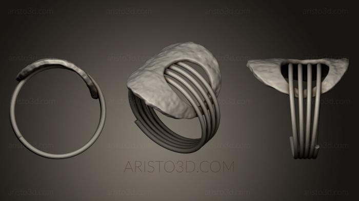Jewelry rings (JVLRP_0224) 3D model for CNC machine
